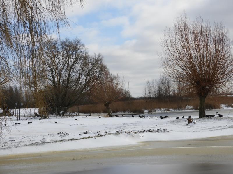 Foto 528262508